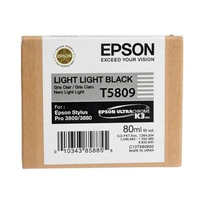 Epson C13T580900 (T5809) Double Light Black Original Cartridge - Stylus Pro 3800 (Ex)