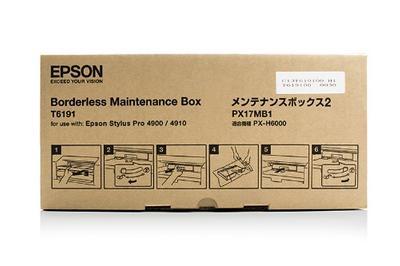Epson C13T619100 (T6191) Original Maintenance Tank 17 - Pro 4900